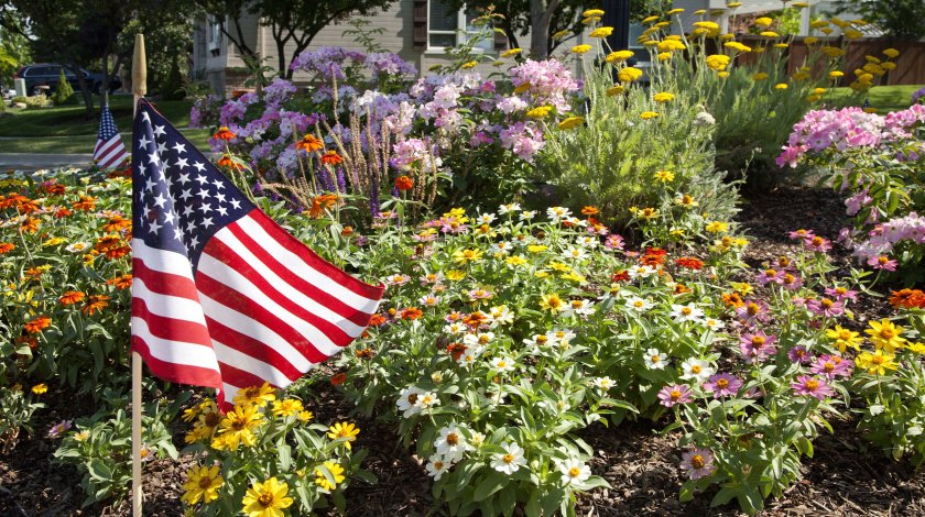 5How-Homeowners-Can-Protect-Themselves-from-Damage-This-Summer