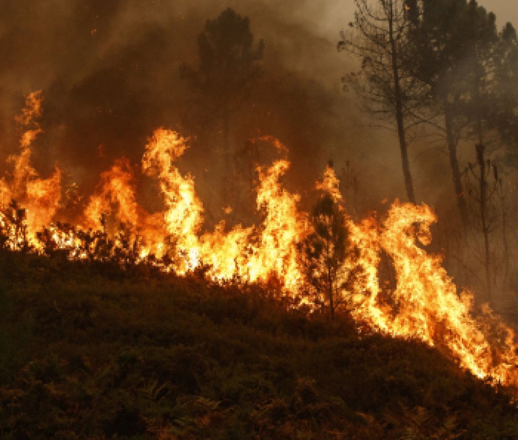 8-Donate-Today-to-Help-Real-Estate-Professionals-Impacted-by-Natural-Disasters