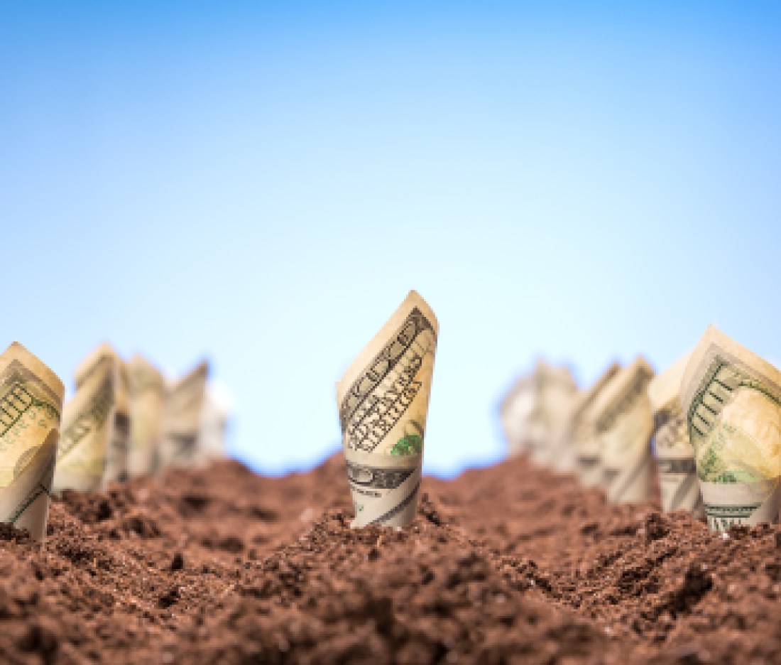 American dollars grow from the ground
