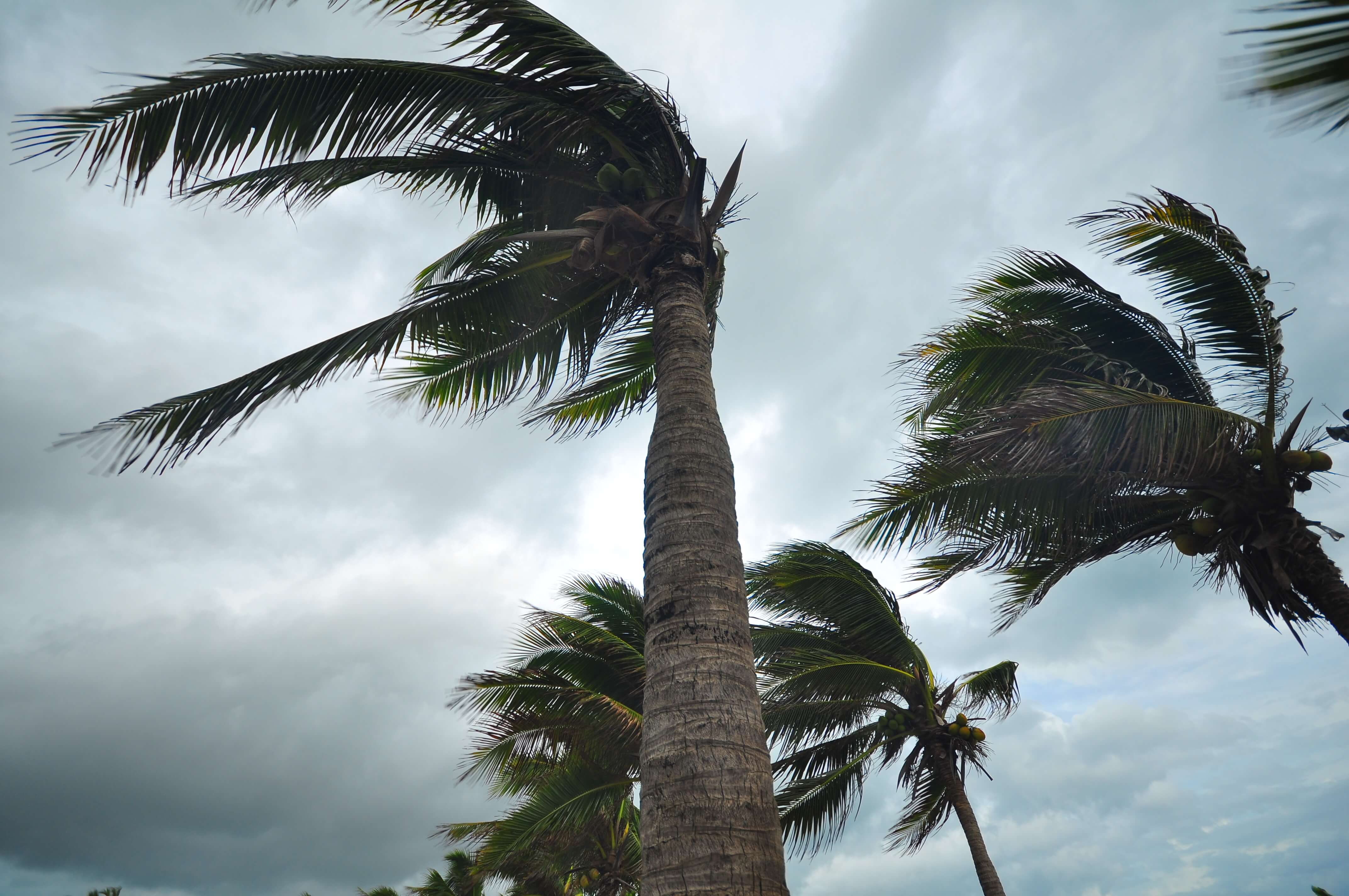 Hurricane Storm Surge Damage 