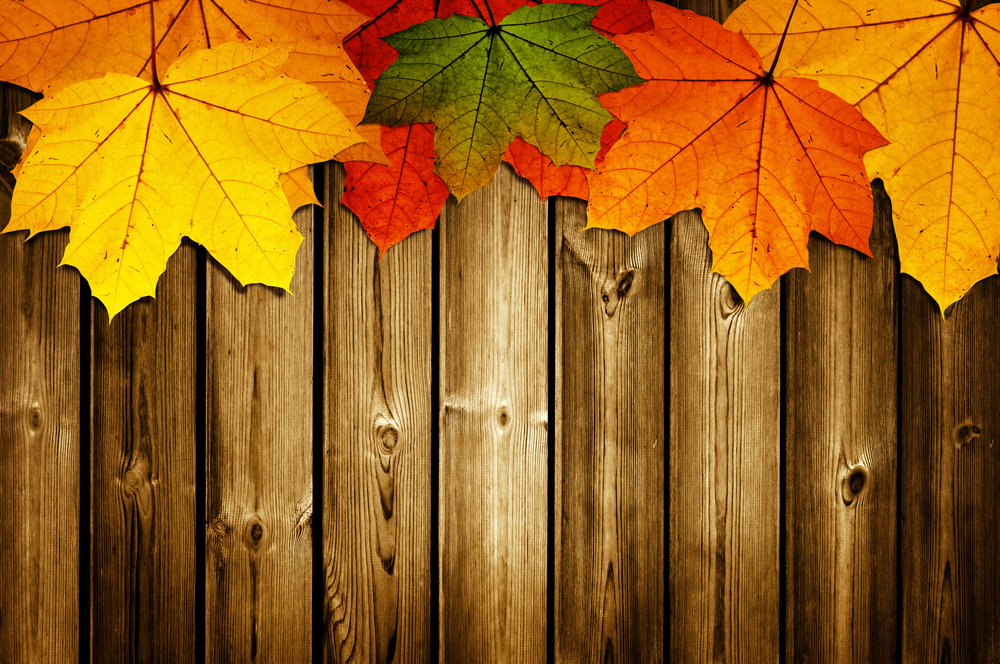 wooden-background-with-autumn-maple-leaves