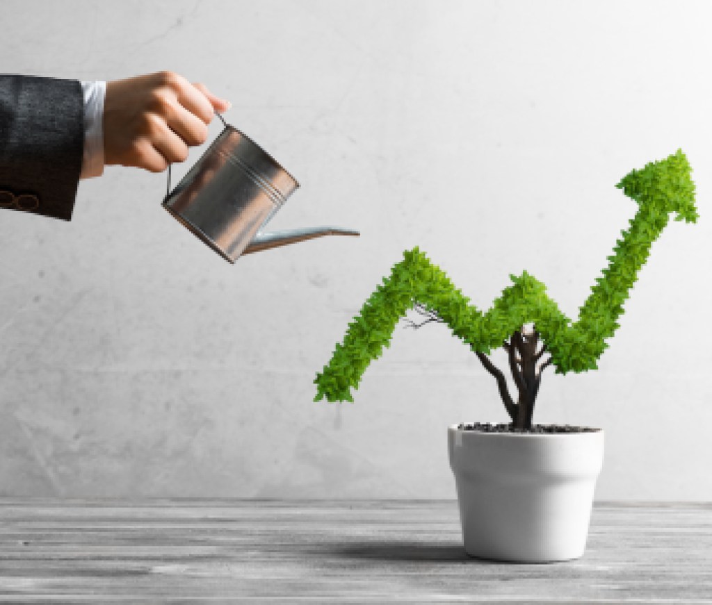 Concept of investment income and growth with tree in pot