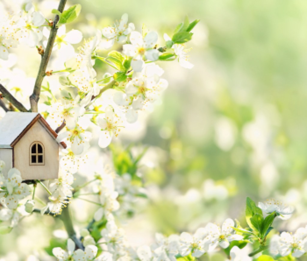 white toy house and cherry flowers, spring abstract natural background. concept of mortgage, construction, rental, family and property. eco-home. spring season. copy space
