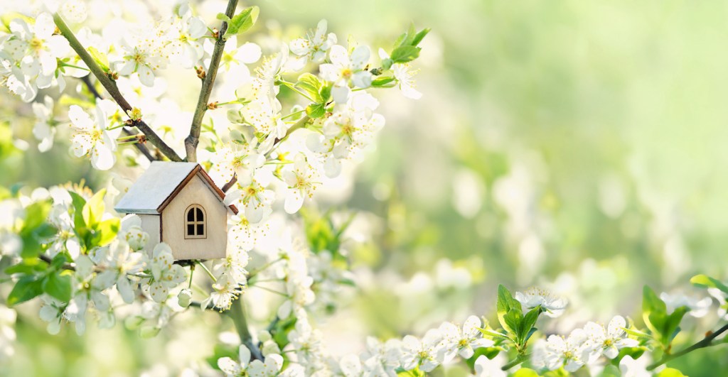white toy house and cherry flowers, spring abstract natural background. concept of mortgage, construction, rental, family and property. eco-home. spring season. copy space