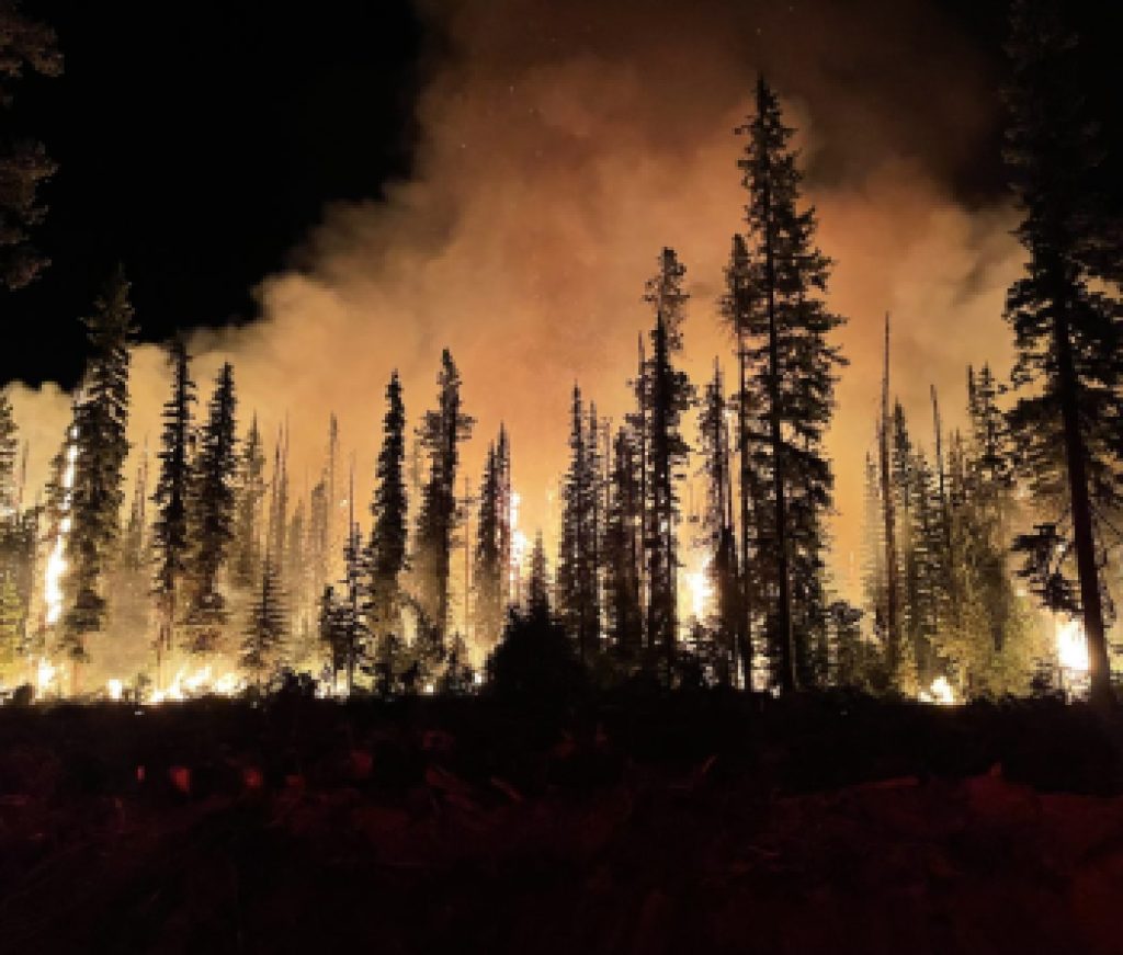 Lick_Fire_on_the_Umatilla_National_Forest_burning_at_night