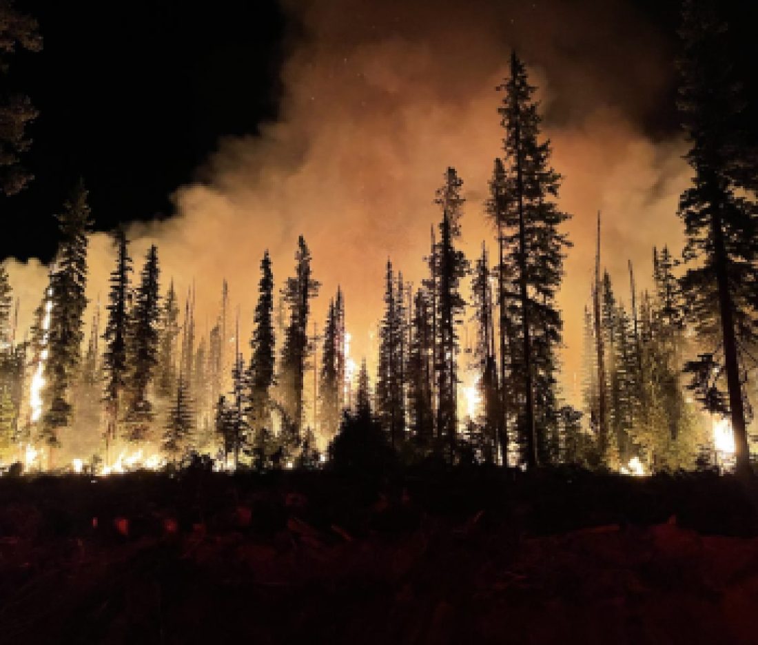 Lick_Fire_on_the_Umatilla_National_Forest_burning_at_night