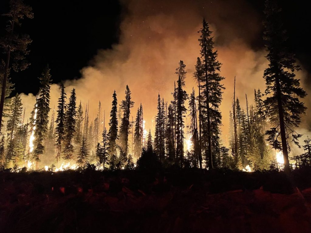 Lick_Fire_on_the_Umatilla_National_Forest_burning_at_night