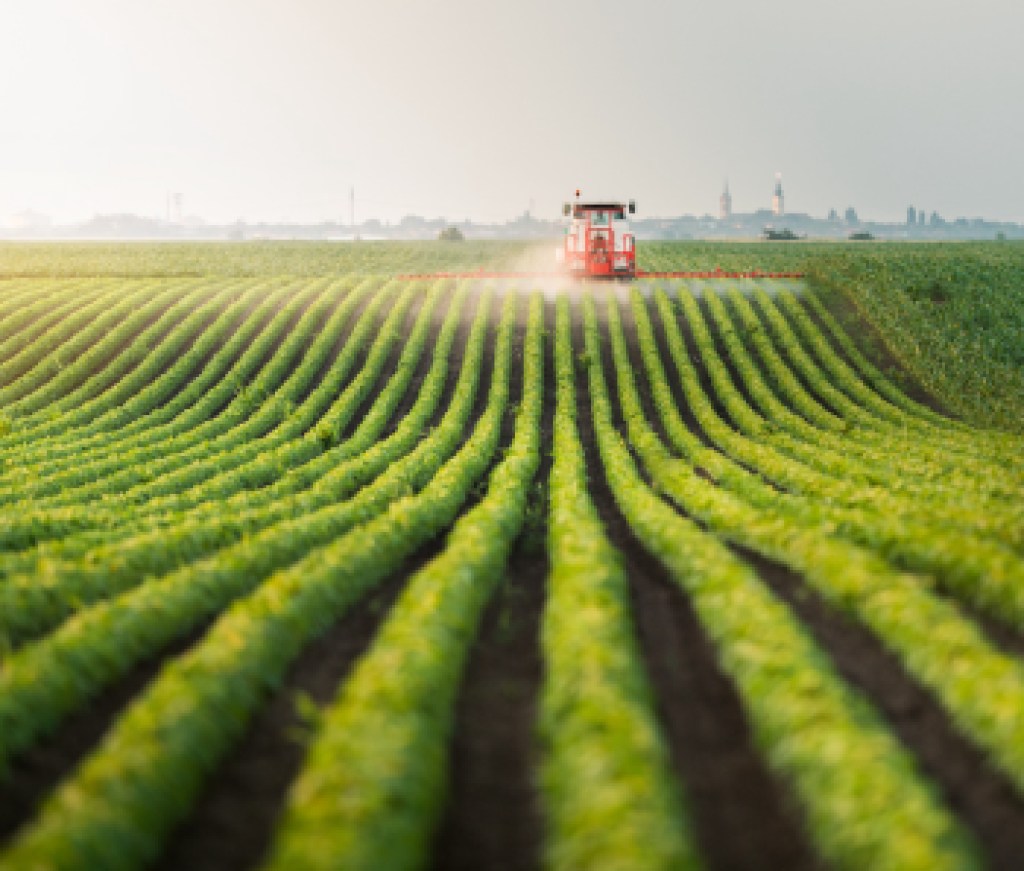 Tractor spraying pesticides at  soy bean field