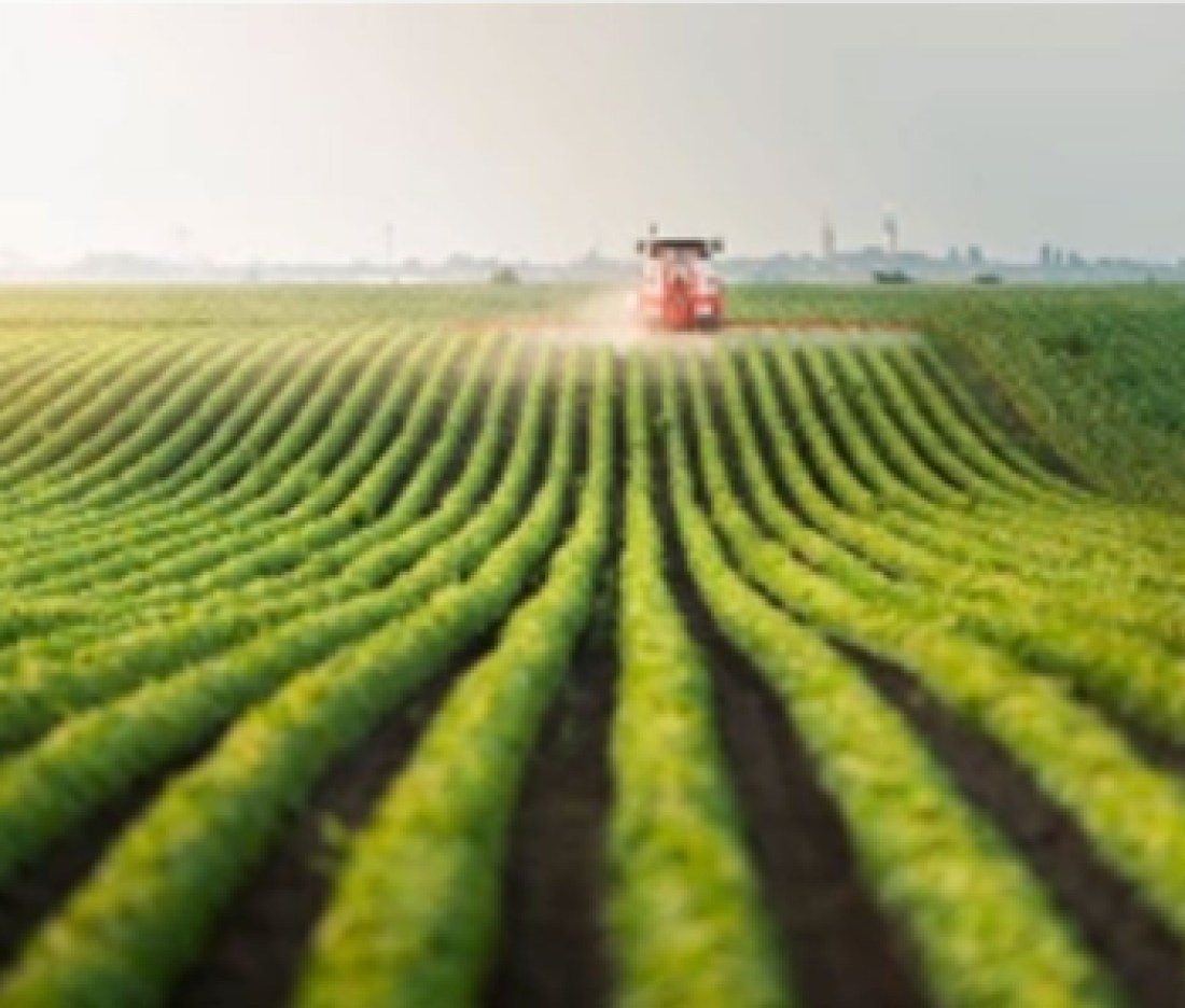 Farm